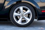 MUSTANG - 4.6 V8 GTCS